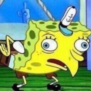 Meet your Posher, Milos